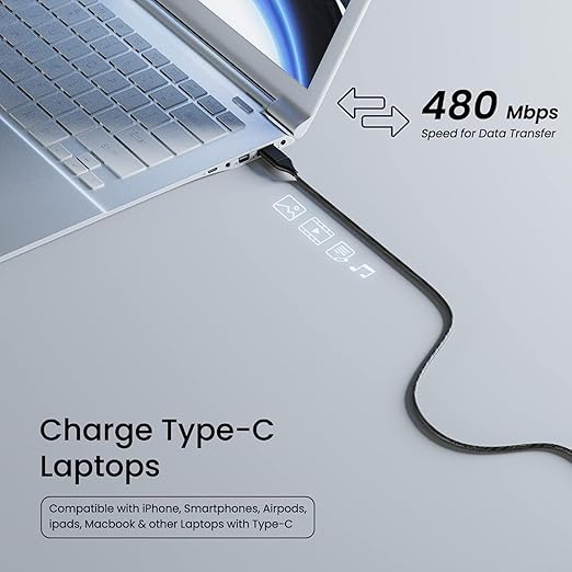 Type C to Type C Charging Cable 60W