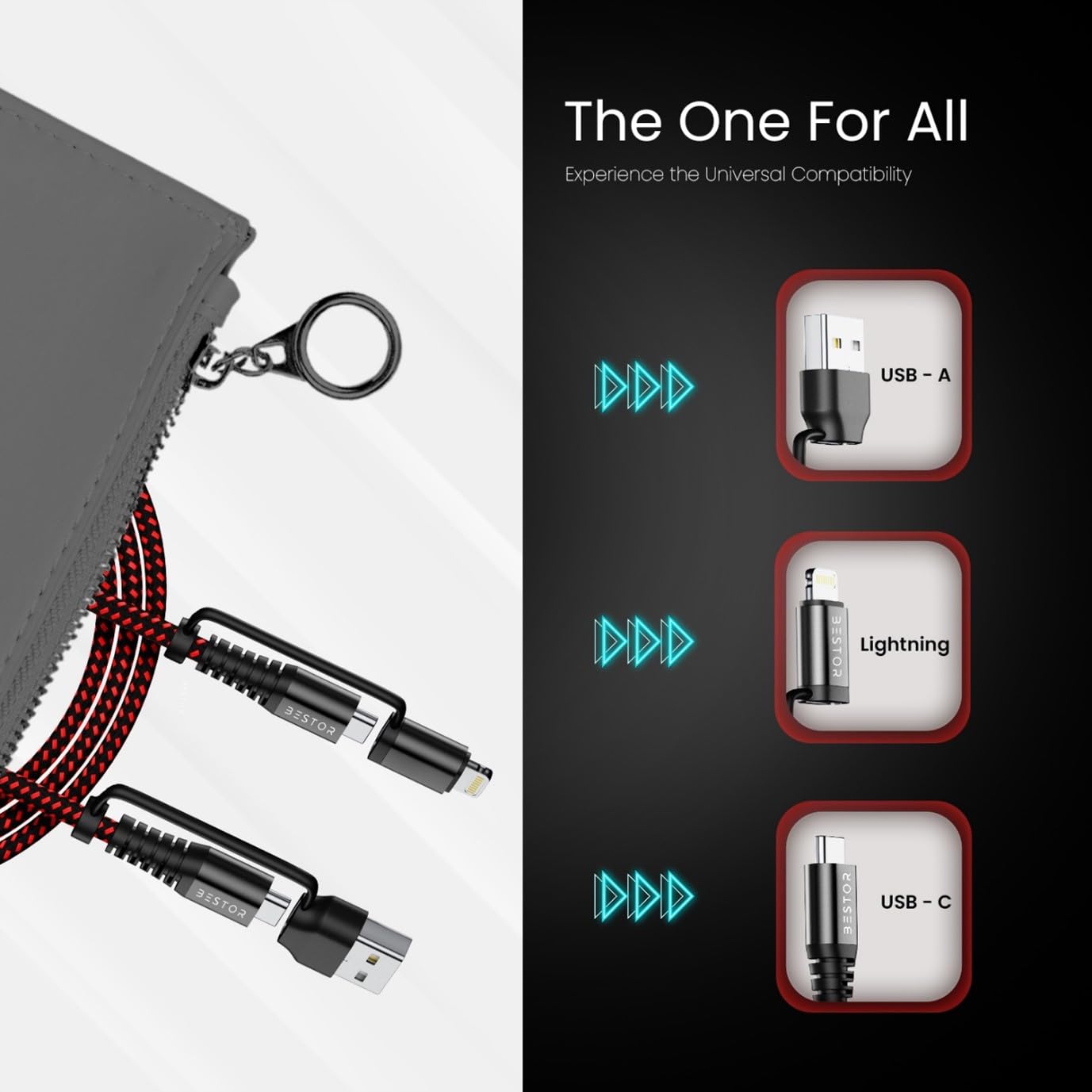 4 in 1 Type C & Lightning Cable