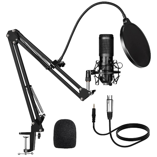 Microphone (XLR)