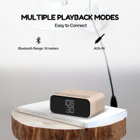 Portable Bluetooth Speaker with Wireless Charging