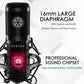 Microphone (XLR)