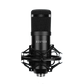 Microphone (XLR)