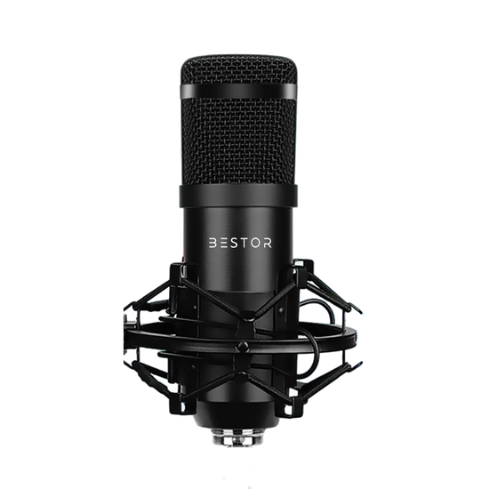 Bestor XLR Microphone Condenser, Best for Voice Over, Affordable