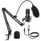 Microphone (XLR)