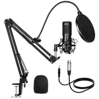 Microphone (XLR)