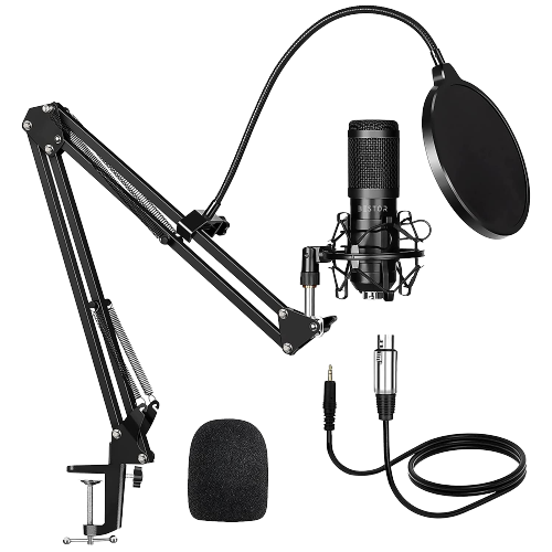 Microphone (XLR)
